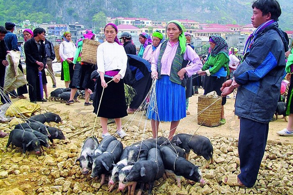 Bac Ha Market