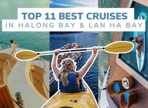 Top 11 Best Cruises in Halong Bay & Lan Ha Bay