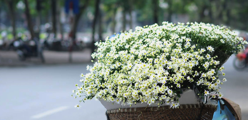 Hanoi Weather in December