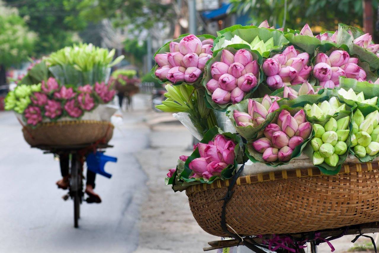 Hanoi Weather in July