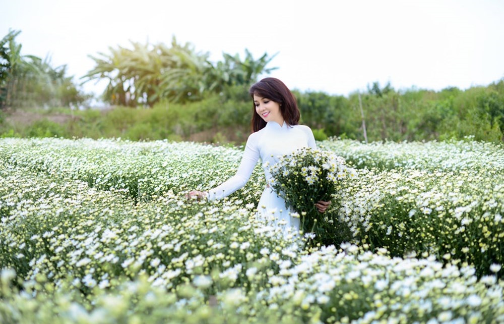 Hanoi weather in November