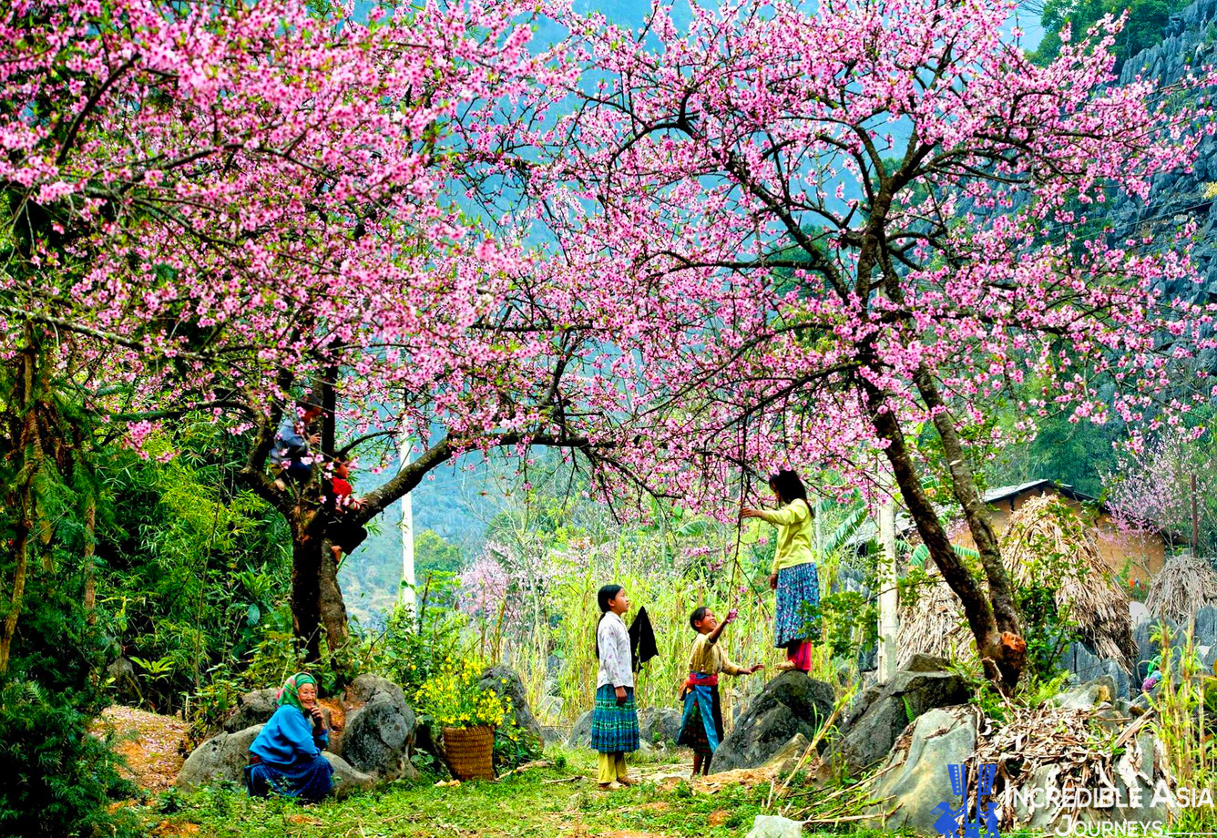 Sapa Tours From Hanoi