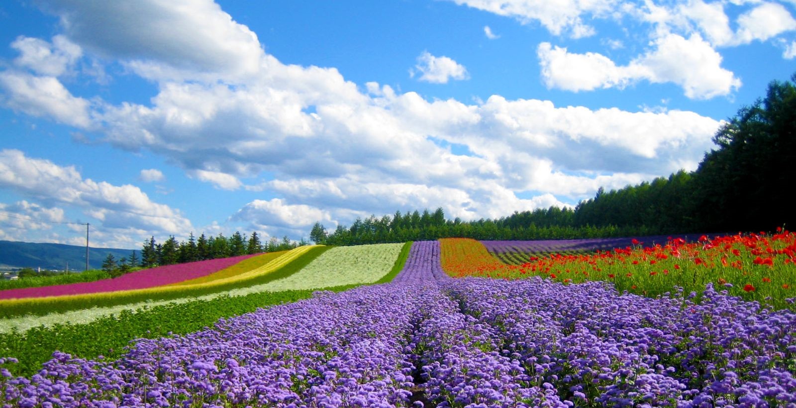 Top Natural Things to See in Dalat