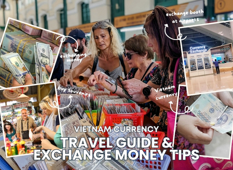 Vietnam Currency: Travel Guide & Exchange Money Tips
