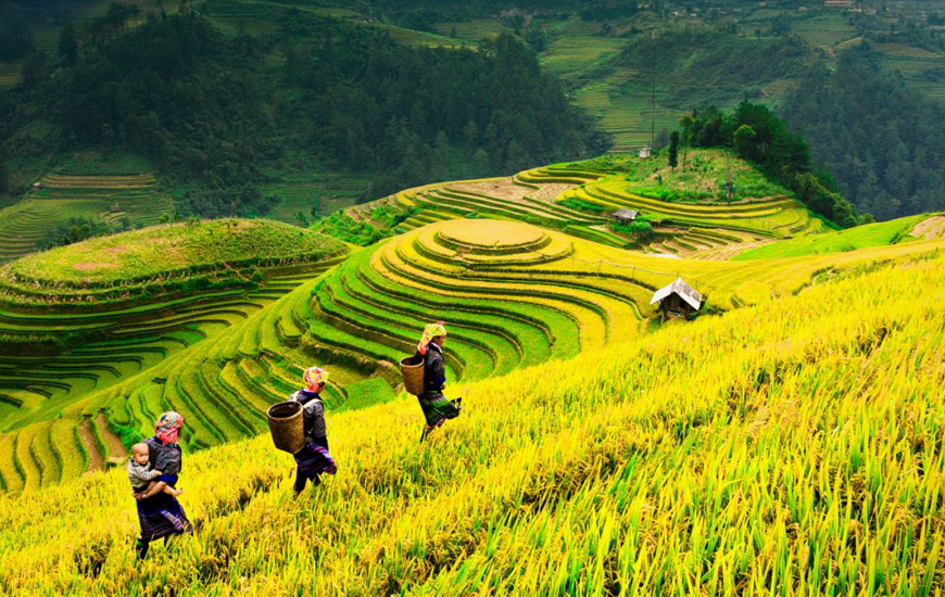 Northern Vietnam Tours