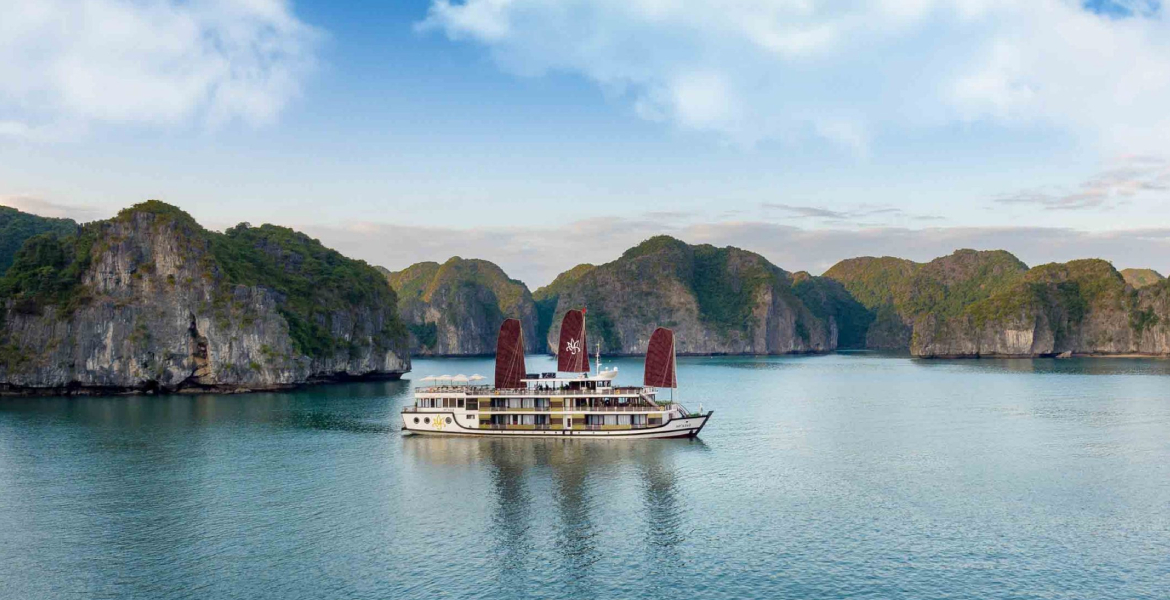 Orchid Trendy Cruise