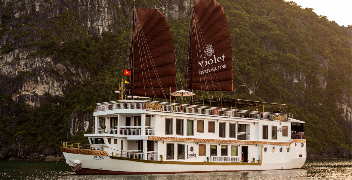 Violet Cruise