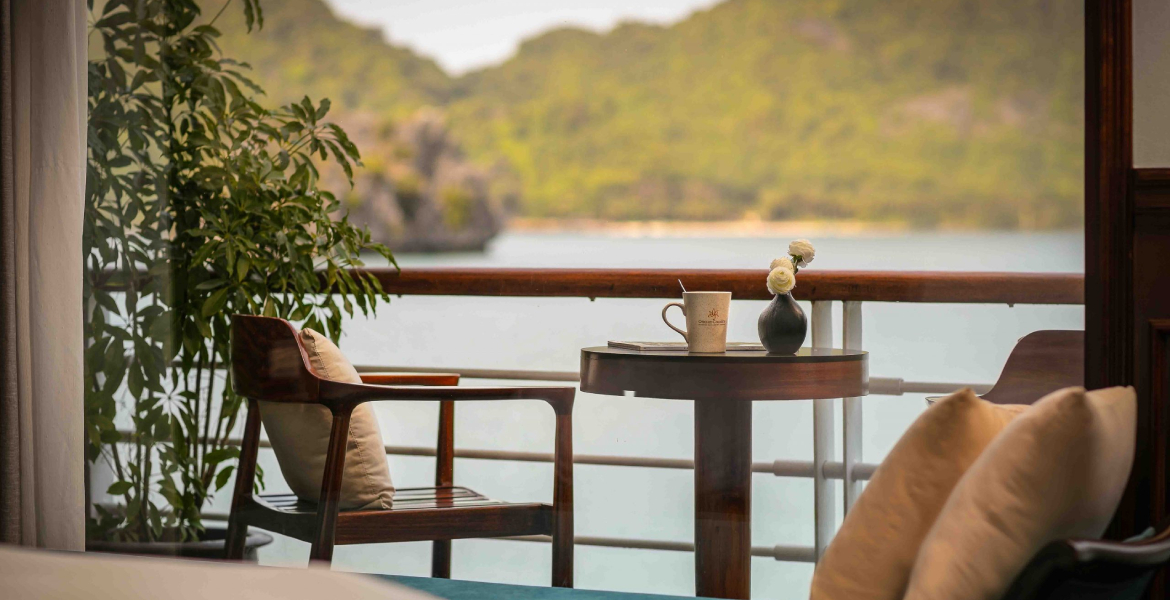 Orchid Trendy Cruise
