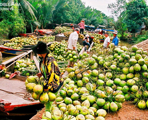 A Glimpse of Southern Vietnam