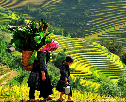 Best North Vietnam With Sapa Tour