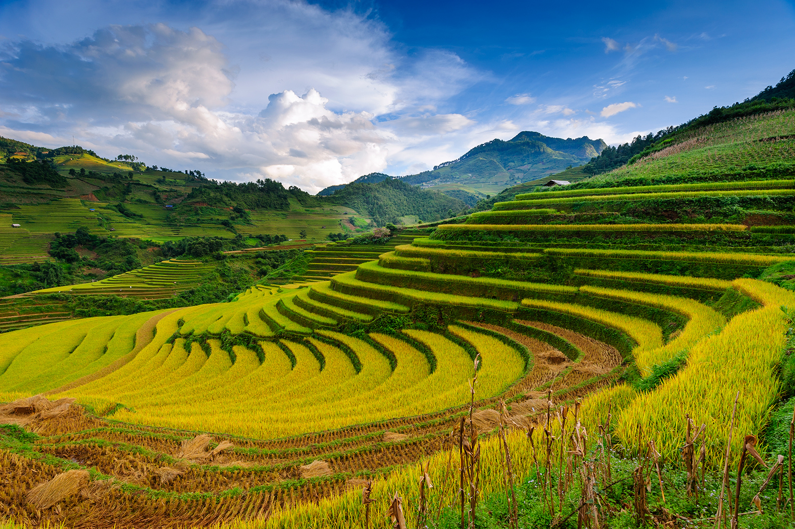 Best of Sapa Excursions