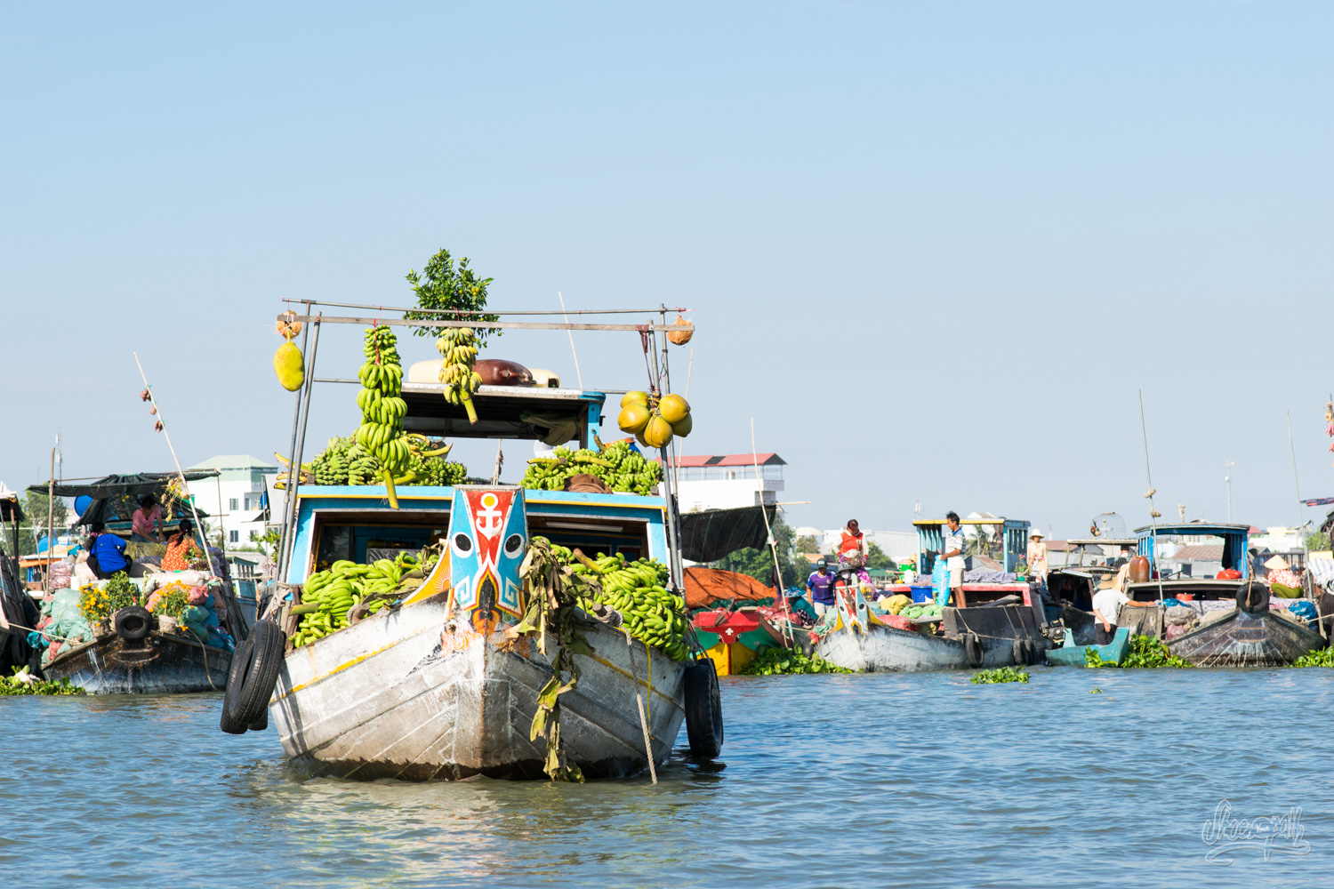 Cai Be Floating Market Day Trip