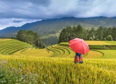 Hanoi to Sapa & Halong Bay 1 Week
