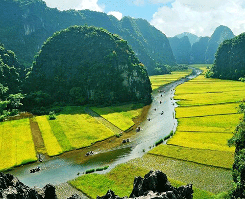 Hoa Lu  - Hang Mua – Tam Coc Day Tour