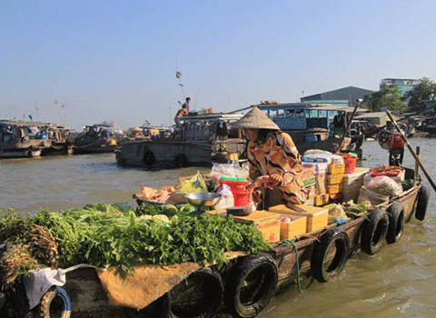 Mekong Delta Day Trip