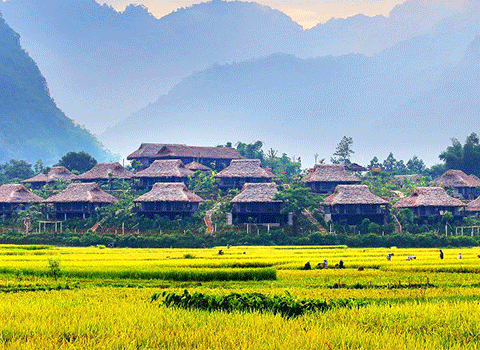 Essence Life Of North Vietnam