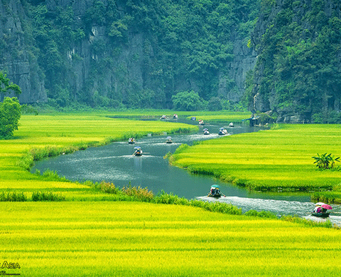 North Vietnam Tour And Explore