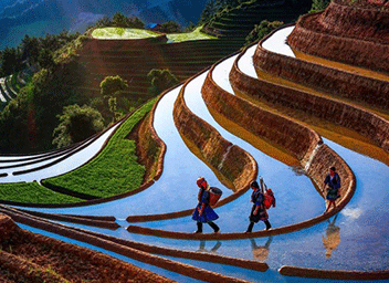 North Vietnam Tour & Excursions