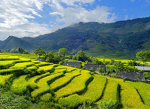 Discover The Best Of Sapa