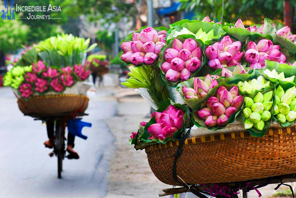 Flower shop in Hanoi