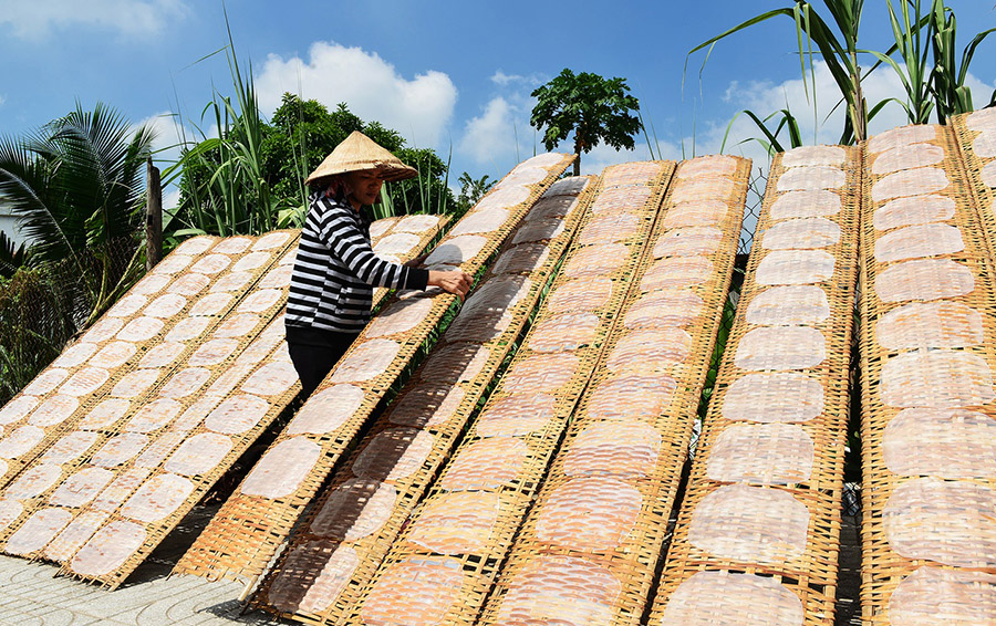 Ben Tre Local Villages