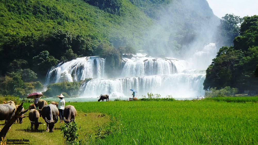 Ban Gioc Waterfall