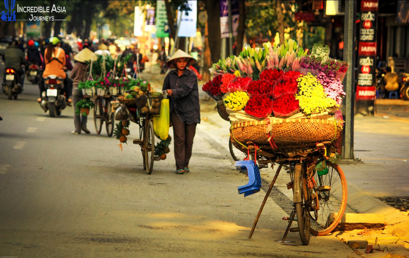 Hanoi Street Vendor