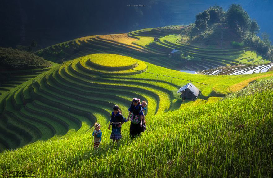 Che Cu Nha terrace fields