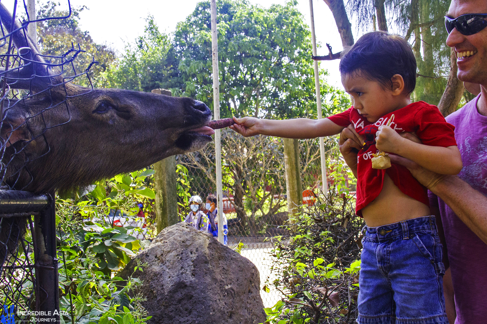 Tamao Wildlife Rescue Centre