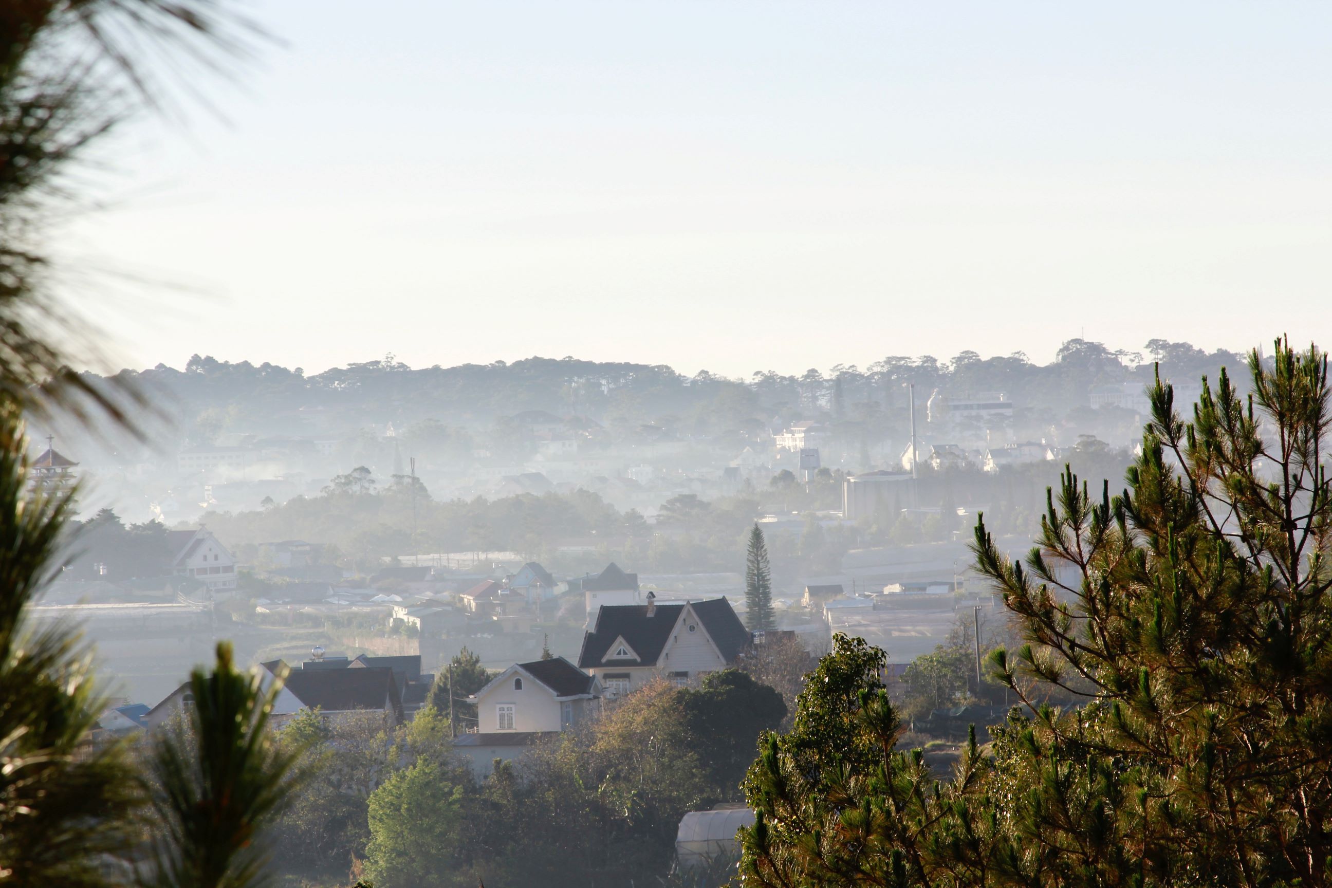 Explore Dalat City.
