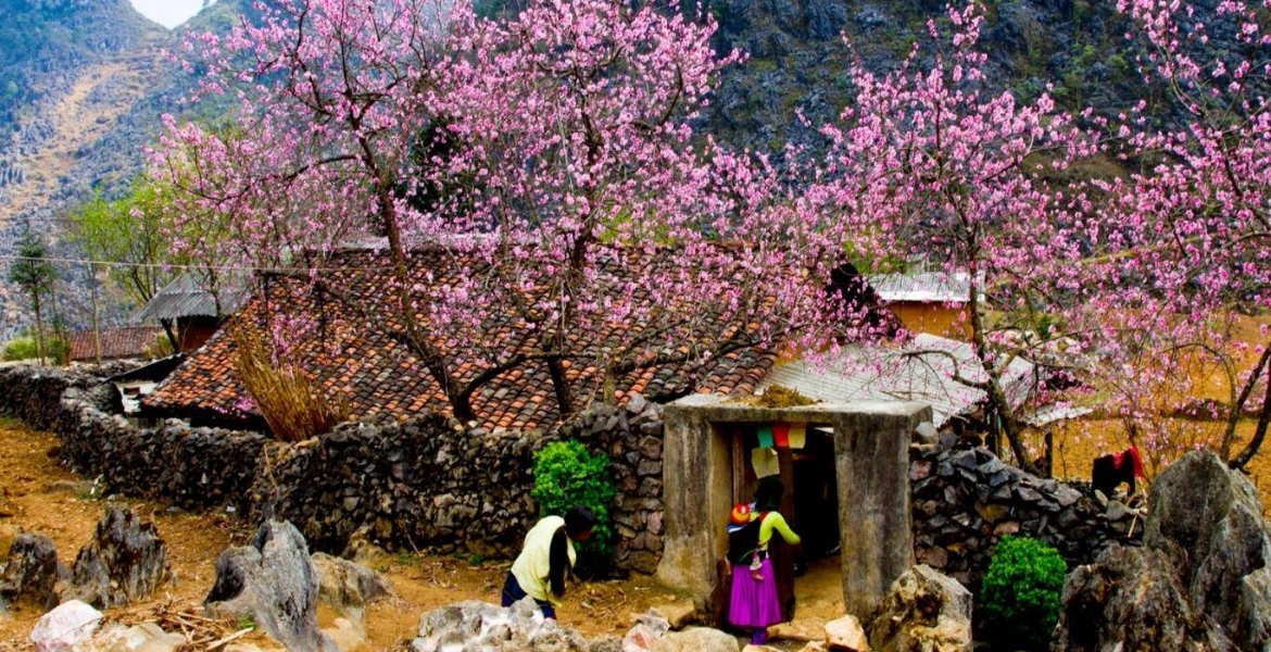 Ha Giang Landscapes