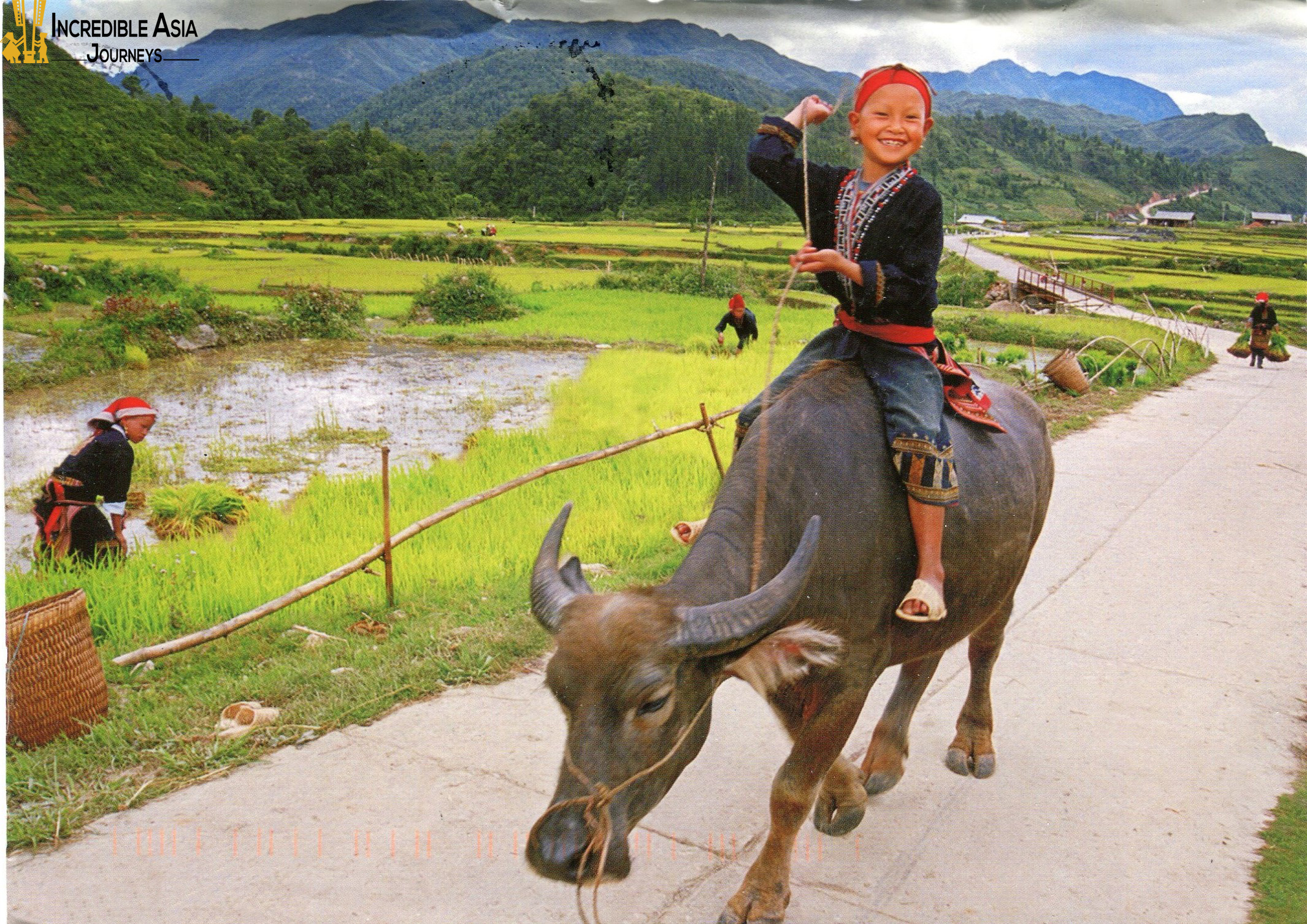 Local children in water buffalo.