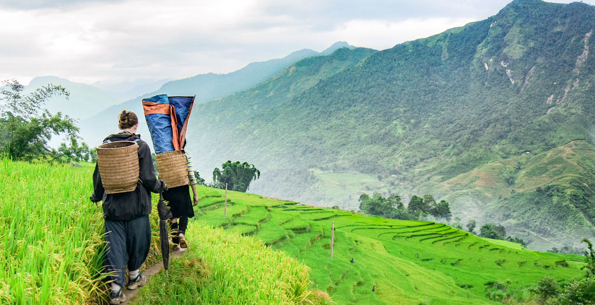 Sapa Trekking