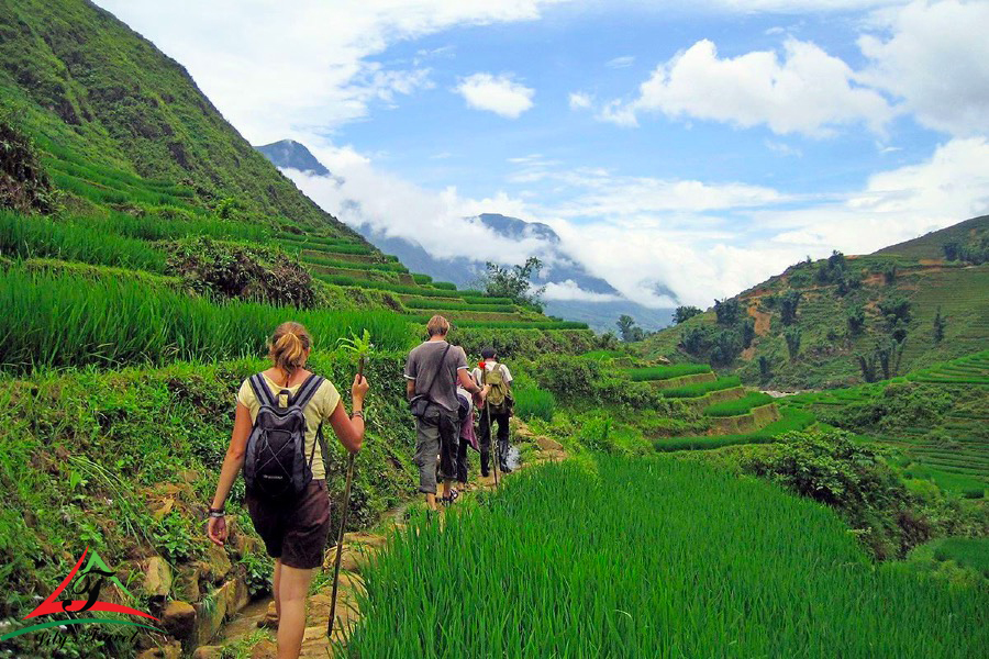 Sapa trekking tour