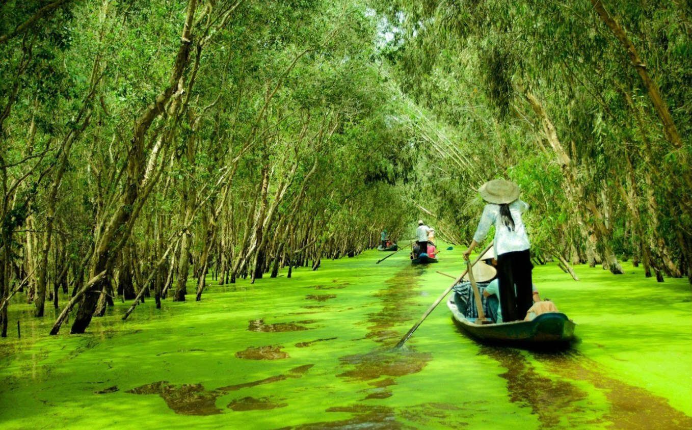 Tra Su in Chau Doc