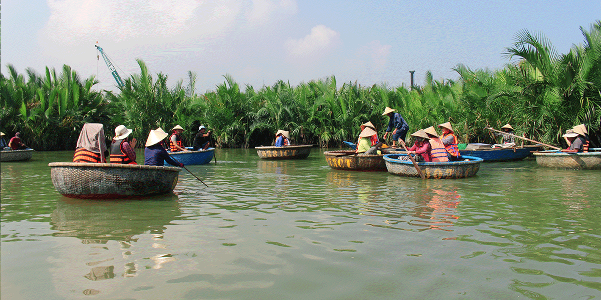 Water Coconut Forest