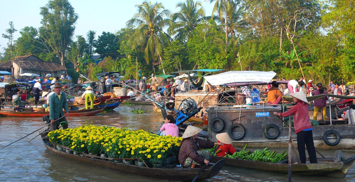 From Hanoi to Ho Chi Minh Joint Tours