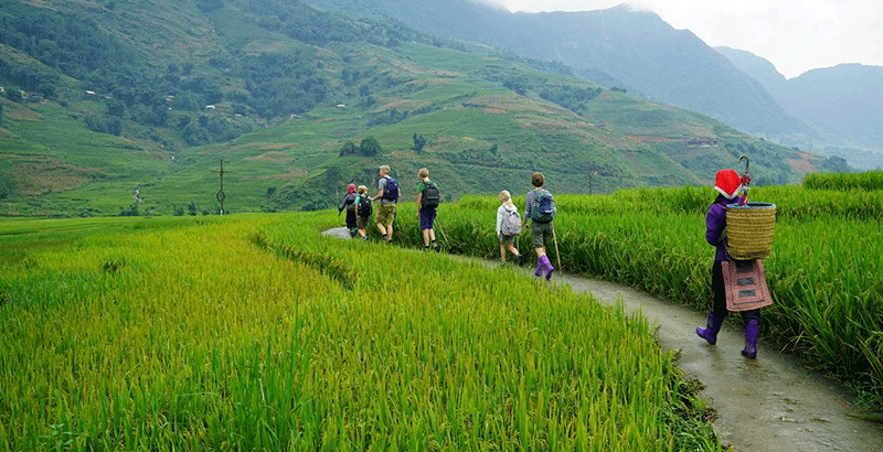 Sapa Trekking & Bac Ha Market