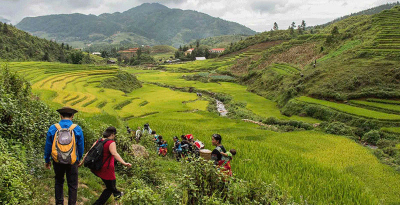 Sapa Trekking & Bac Ha Market