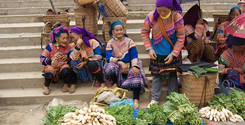 Sapa Trekking & Bac Ha Market