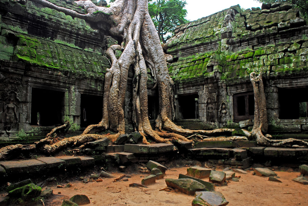 Angkor Wat Tours and Around
