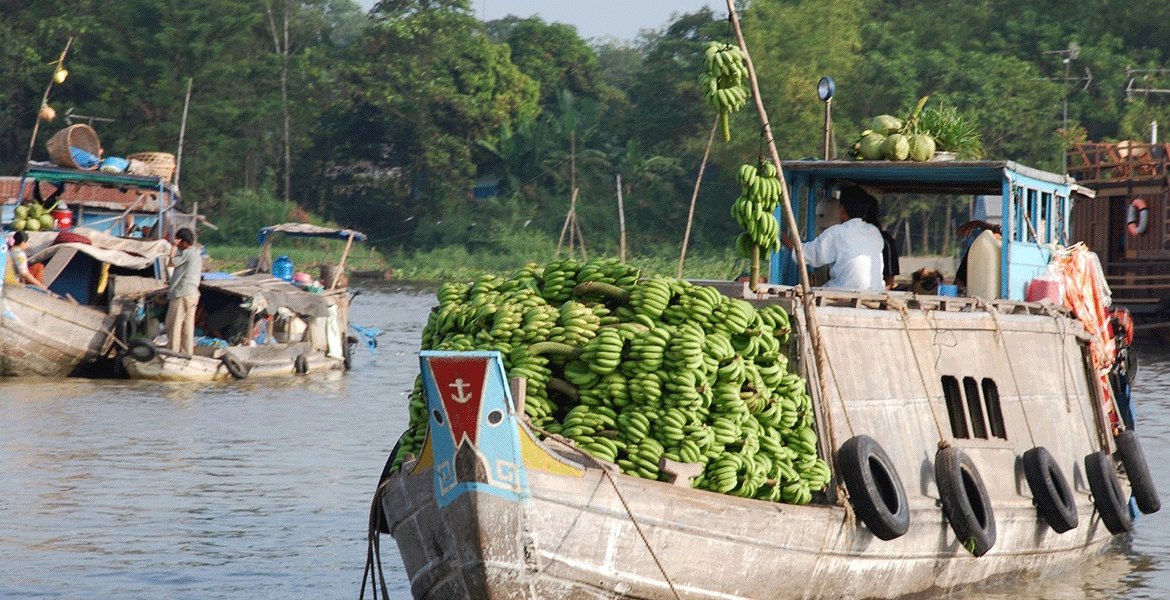 Discover Southern Vietnam