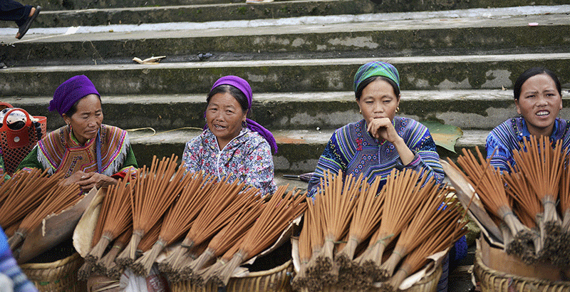 Sapa Trekking & Bac Ha Market