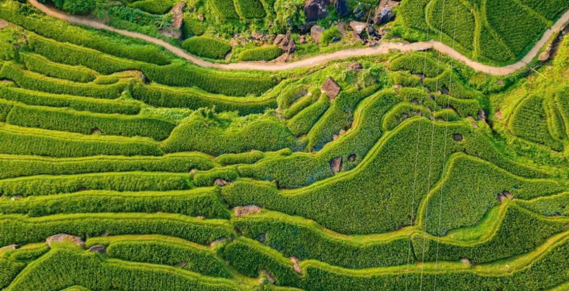 7 Days Discover Northern Vietnam with Pu Luong