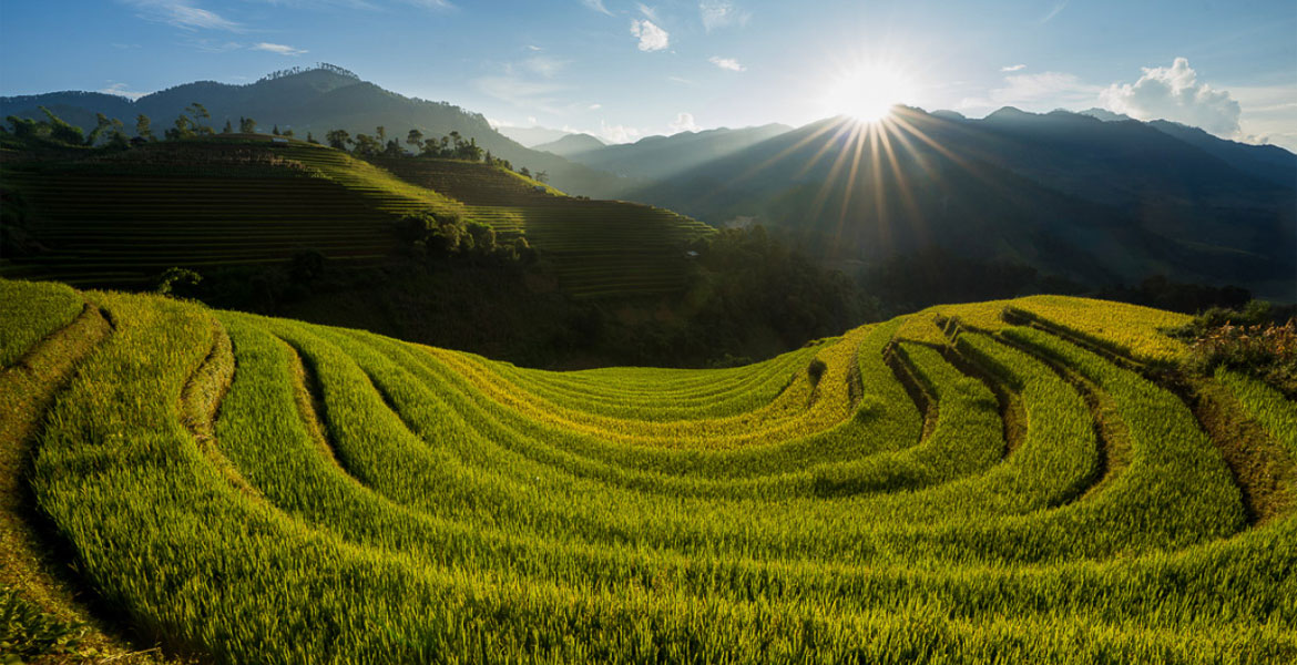 Mu Cang Chai Trekking Tour