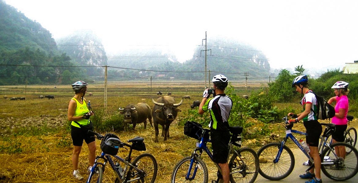 Ninh Binh Day Trip From Hanoi