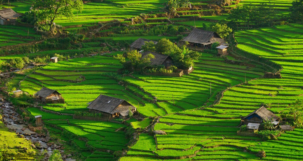 Short Sapa Tour & North Vietnam