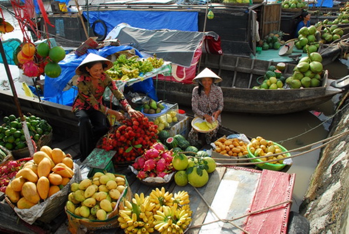 Best Journey To Discover Vietnam
