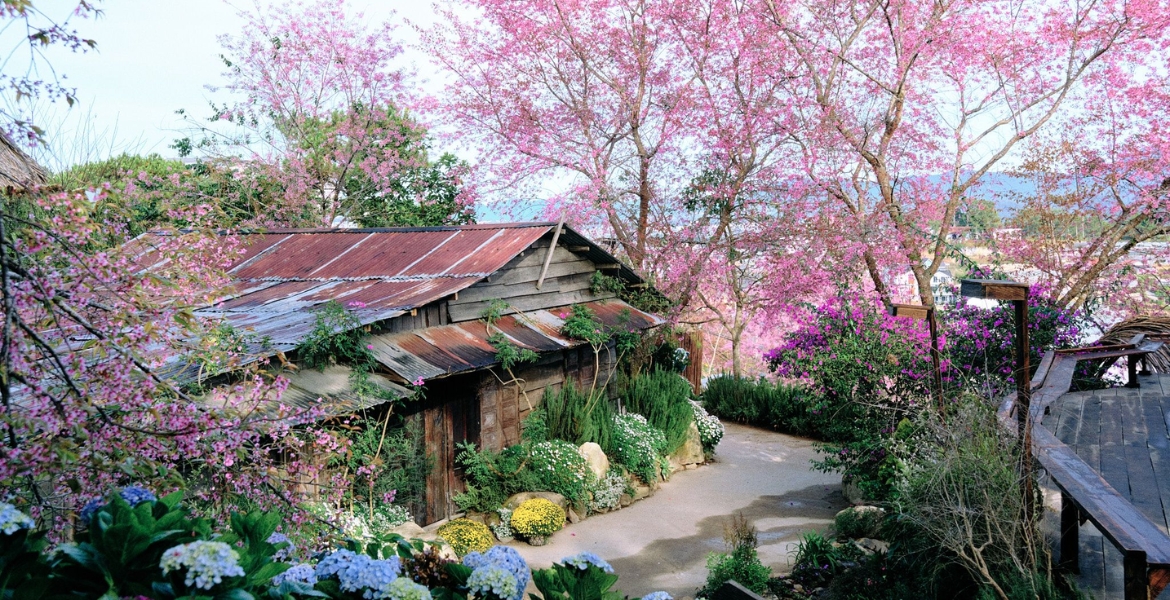 Dalat Nature Experience 5 Days