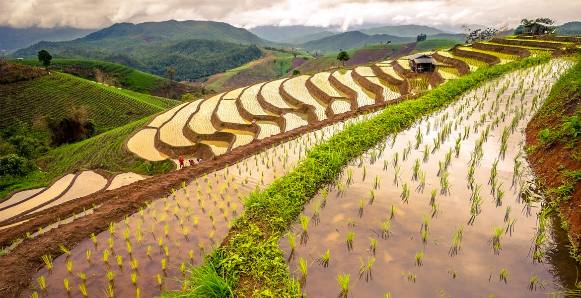 Sapa Trekking Tour with Train